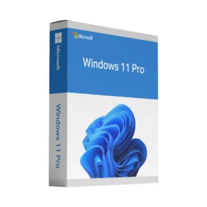 Buy Microsoft Windows 11 Pro Lifetime License