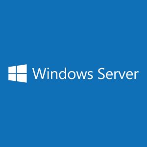 Microsoft Server